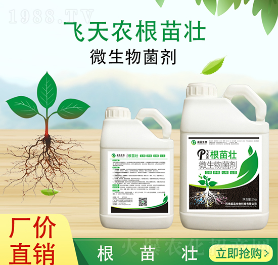 �����-��Ʒ����