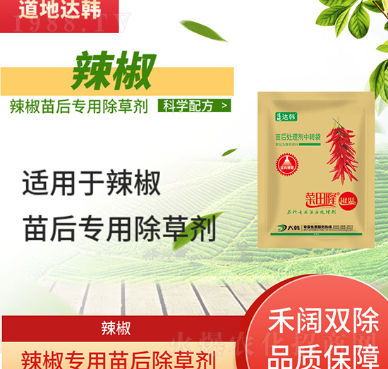 �������݄�-�������-������(zhu��n)��-����-���n