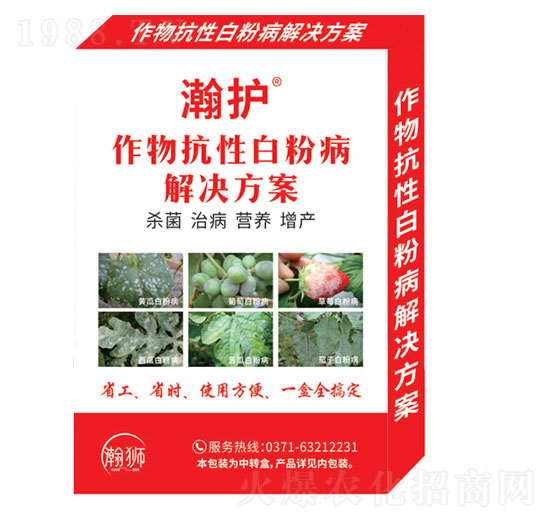 ���￹�԰׷۲���Q����-��o-嫪{�r(n��ng)�I(y��)