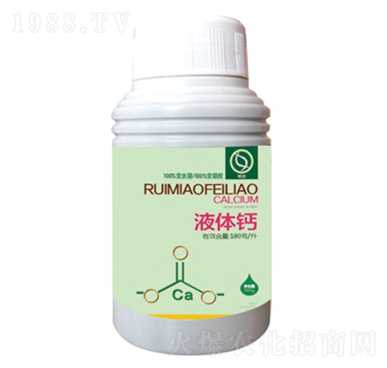 Һ�w�}-����