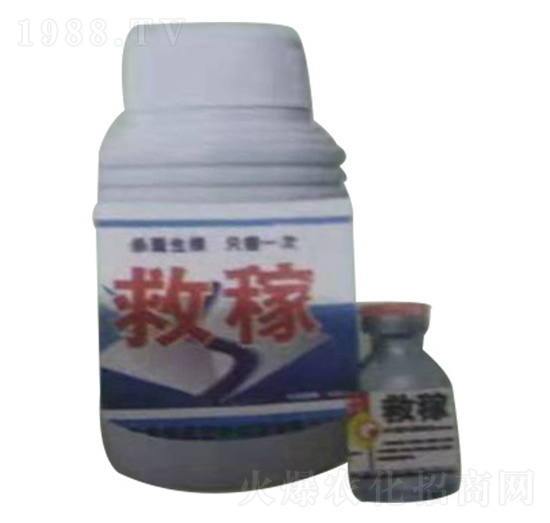 �ȼ�-����