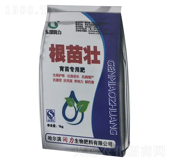 ���猣�÷�-�����-����