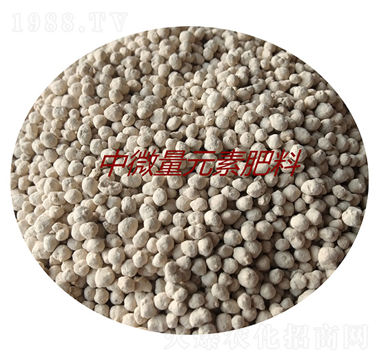 ��΢��Ԫ�ط��ϣ��w����-�𝙰l(f��)����