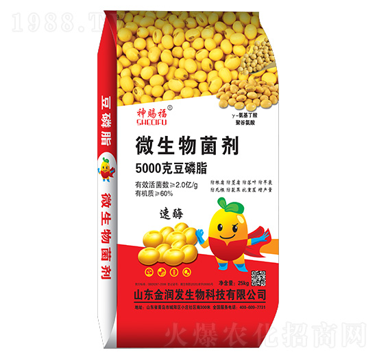 ����֬΢�������-���n��-�𝙰l(f��)����