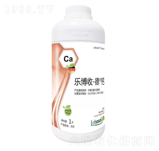 ��(l��)���յ��}-��(l��)����-���}