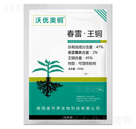 47%���ס����~�ɝ��Էۄ�-�փ�(y��u)���~-����