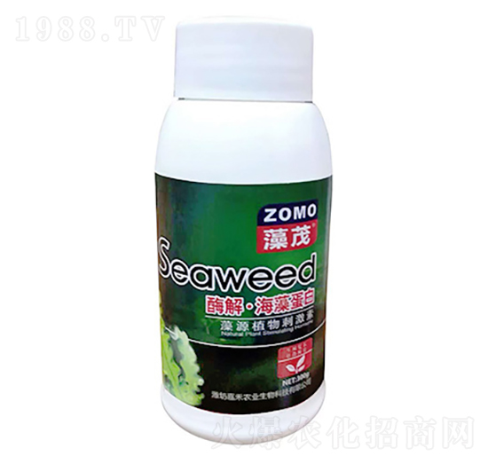 ø�⡤���嵰��-�κ��r(n��ng)�I(y��)