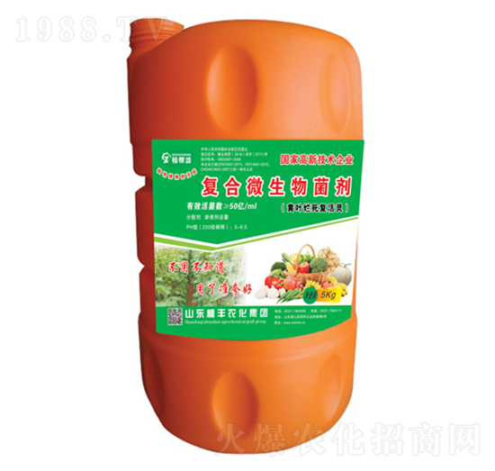 �S�~�����ͻ��`-ֲ��ʢ-ֲ�S�r��