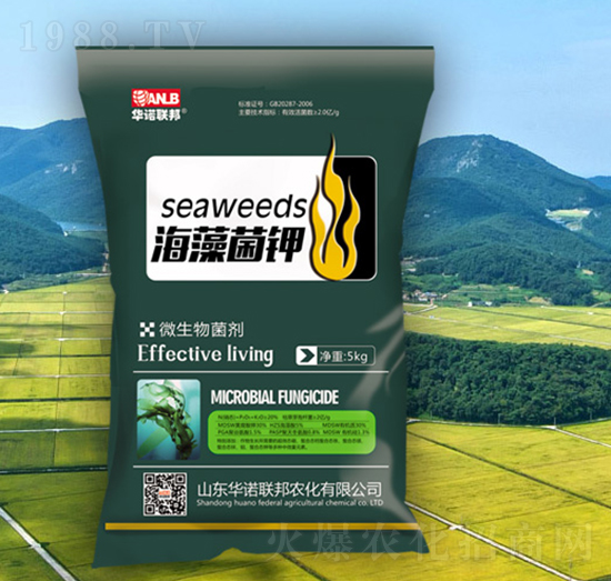 ������-�A�Z(li��n)��