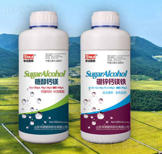 ���\�}�V�F-�A�Z(li��n)��