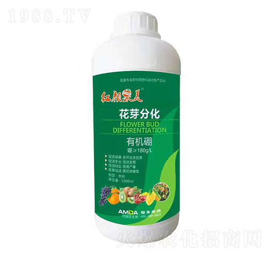 �ЙC��-�t���-��ķ�_