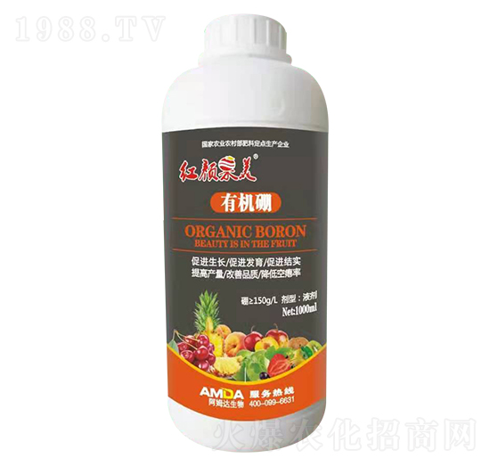 �ЙC��-�t���-��ķ�_(d��)