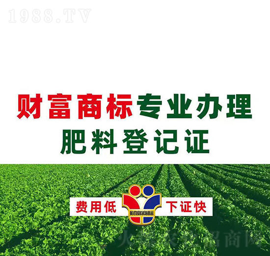 ���ϵ�ӛ�C�k��-ؔ(c��i)���̘�(bi��o)