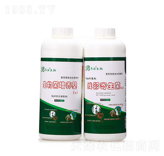 ��������B(y��ng)��+���Ѽ�����-�A�I