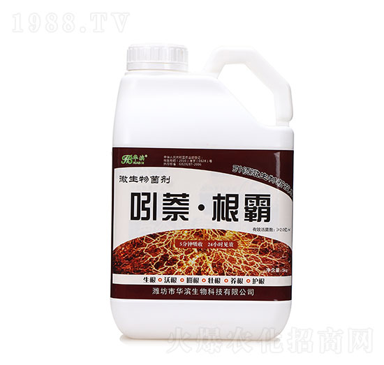 ��������-�A�I