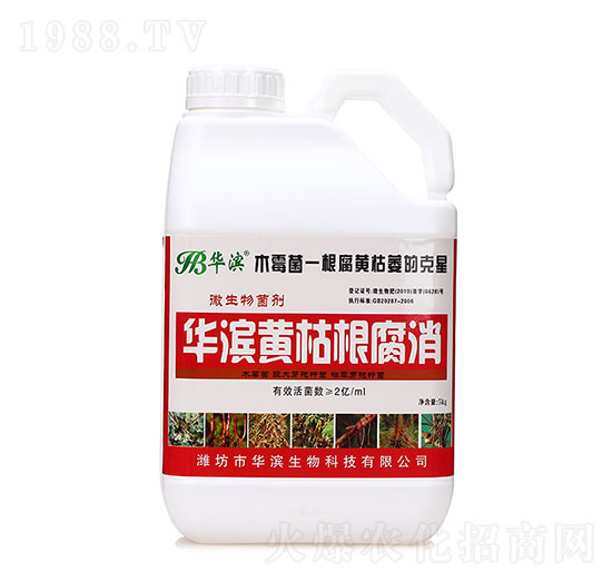 �S�ݸ�����-�A�I