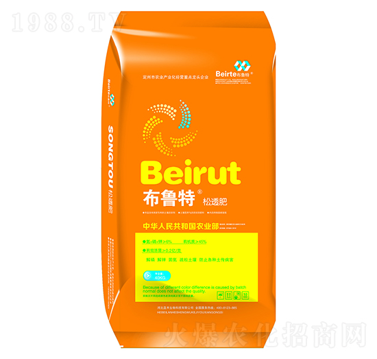 ��͸��-������-�{������