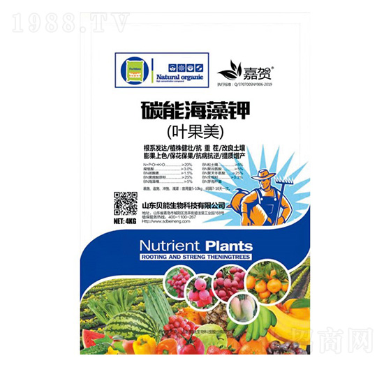 ̼�ܺ����-ؐ������