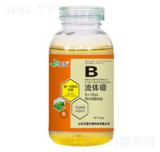 ���w��-ؐ������