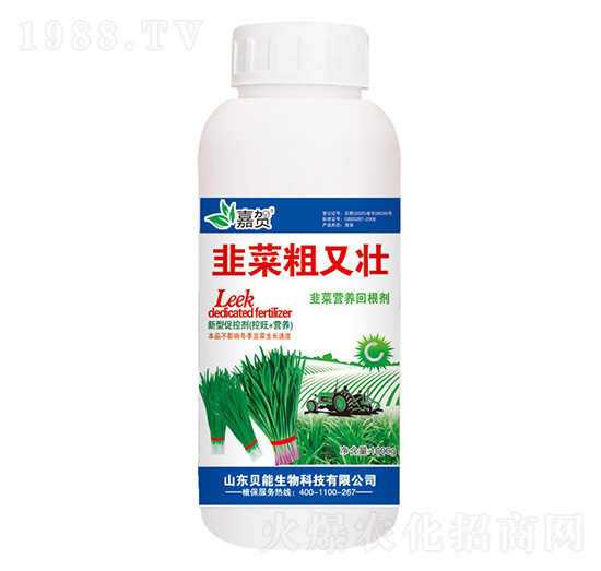 �²˴��։�-ؐ������