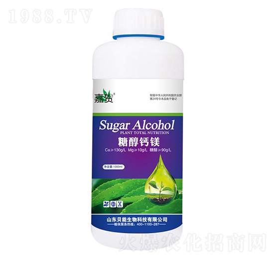 �Ǵ��}�V-ؐ������