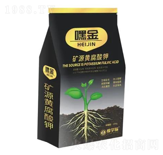 �VԴ�S�����-�ٽ�-�ÌW(xu��)��