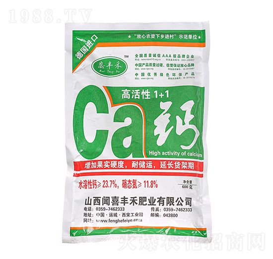 �߻���1+1�} ���S��