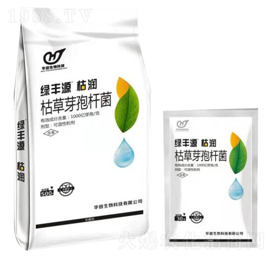 �ݲ�ѿ�ߗU�� �ݝ� �A������