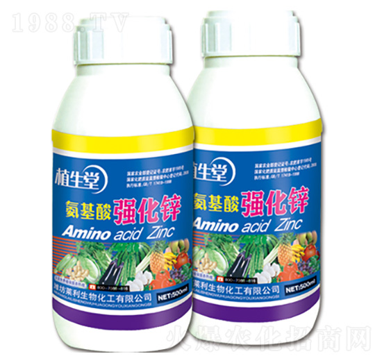 �����Ꮚ���\ ֲ���� �R������