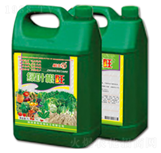 �G�~���� �R������