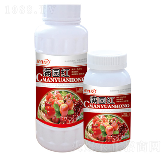 �M�@�t ֲ���� �R������