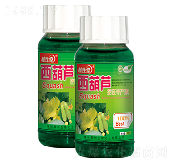 �����J�������a�� ֲ���� �R������