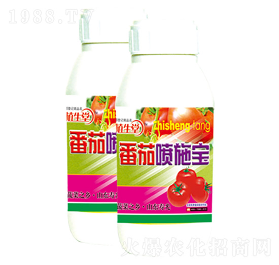 ���ч�ʩ�� ֲ���� �R������