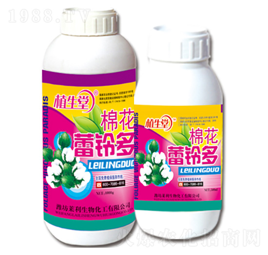 �޻���⏶� ֲ���� �R������