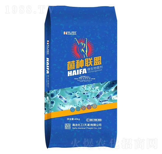 ΢�������-���N(li��n)��-��������