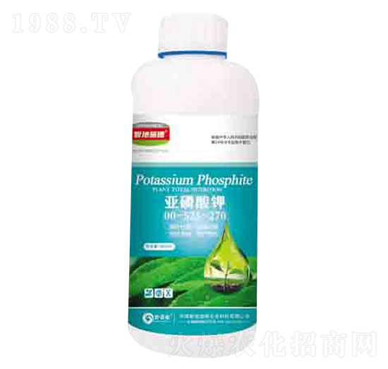 ������� ����