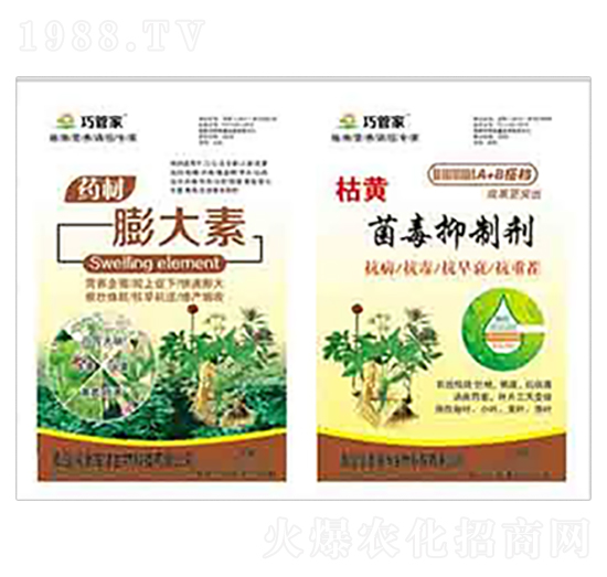 ˎ�������+���S�������Ƅ� ����