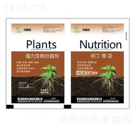 ��(qi��ng)���������焩+�Ŷ��������| ����