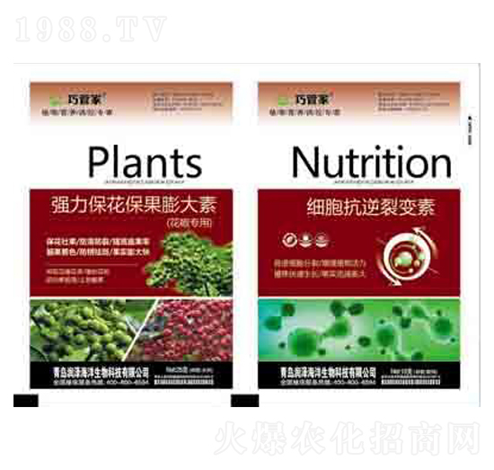 �����������������+��(x��)��������׃�� ����