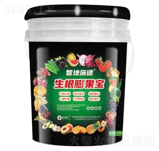 ��������� ����