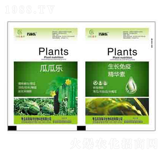 �ϹϘ�+���L���߾��A�� ����