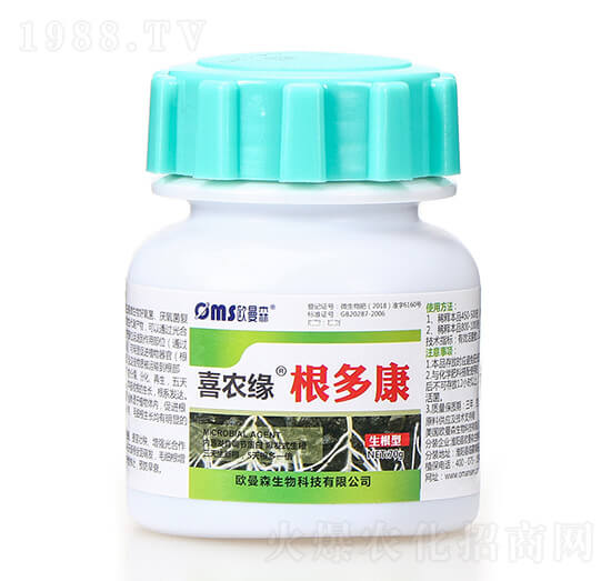 ���࿵-ϲ�r��-�W��ɭ