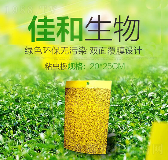 ճ�x�� �Ѻ�