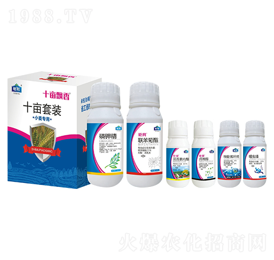 С����(zhu��n)��ʮ�����b ʮ���h�� ⠰��r(n��ng)�I(y��)