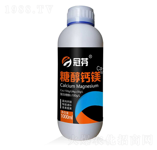 �Ǵ��}�V �ڷ�