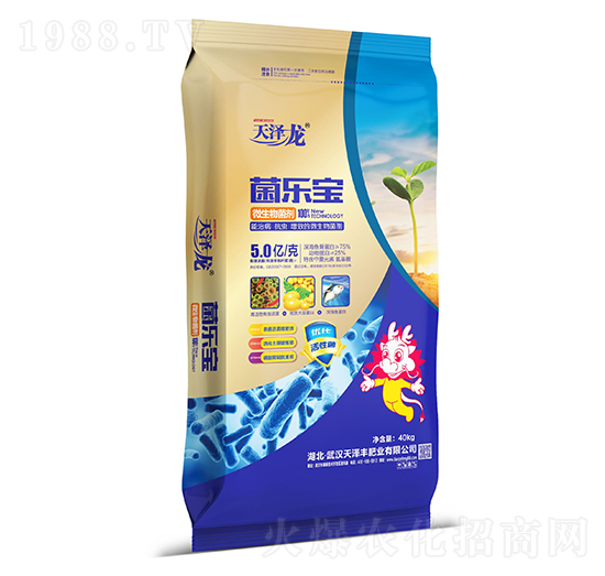 ΢������� ������ �����