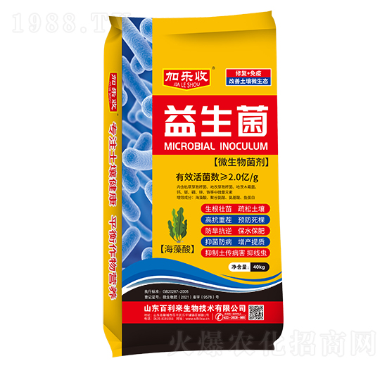 ΢������� ������ �Ә��� ������