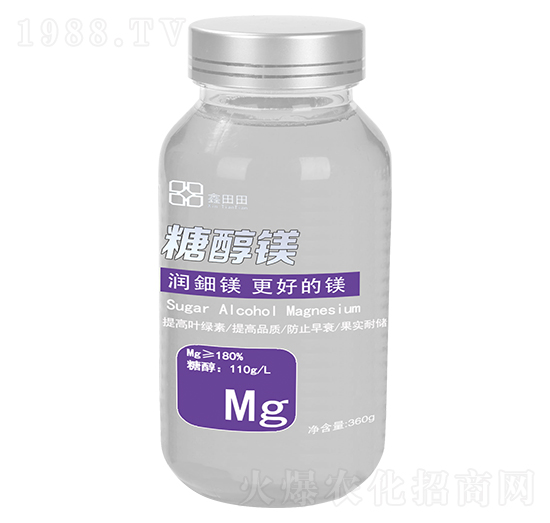 �Ǵ��V ������