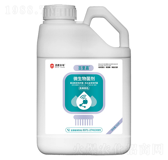 ΢�������������nɫ�� �����  ʥ���S��