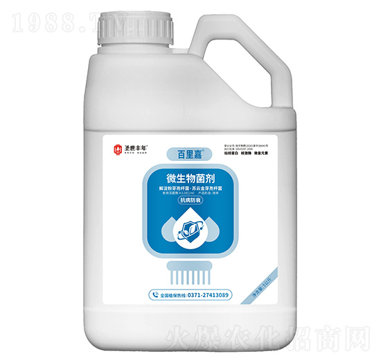 ΢���������������˥�� �����  ʥ���S��